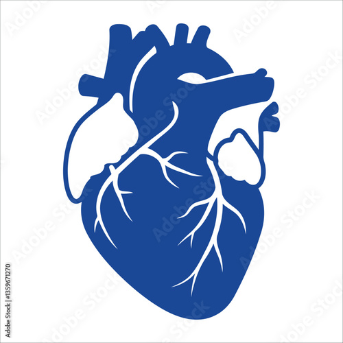 Blue Human Heart Vector – Modern Medical Anatomy Illustration