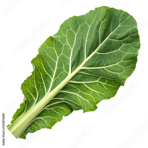 cauliflower leaf isolated on white background