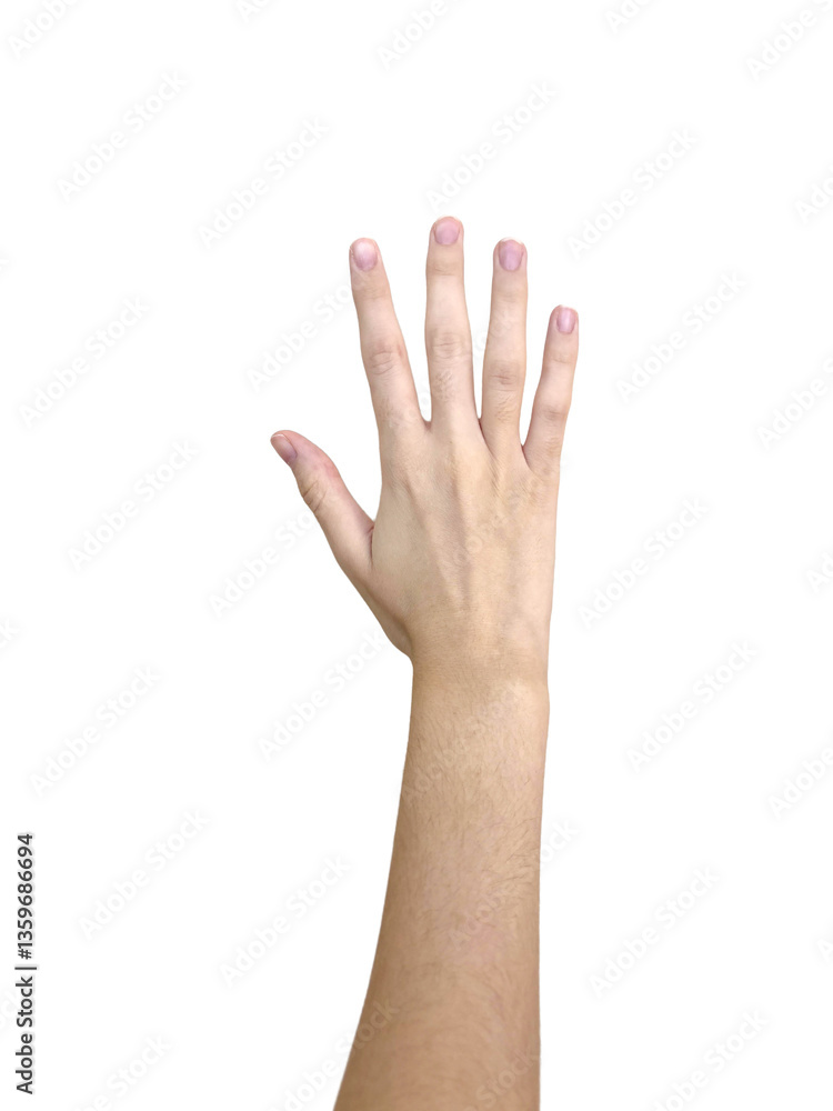 Raised caucasian female hand with open palm and natural nails. Raised caucasian female hand with open palm and natural nails.