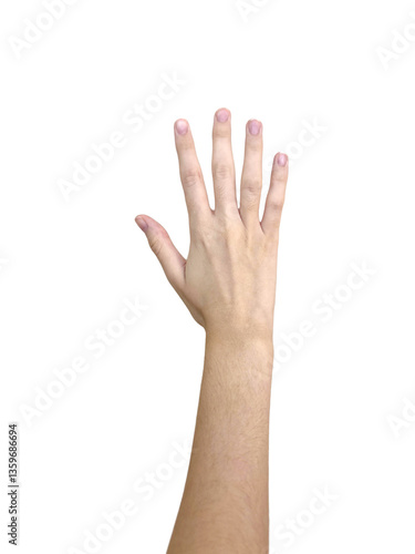 Raised caucasian female hand with open palm and natural nails.