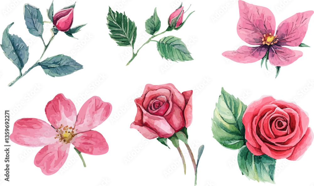 Obraz premium set of flowers