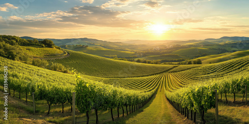 Wallpaper Mural A panoramic view of a picturesque vineyard at golden hour, rolling hills covered in grapevines, soft warm sunlight. Torontodigital.ca