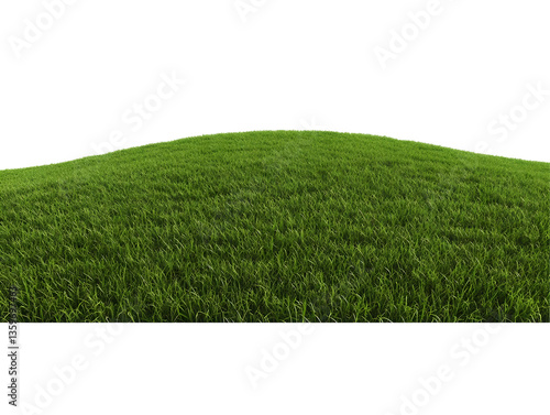 Isolated Background of Green Grass Lawn Field Turf in Spring Summer
