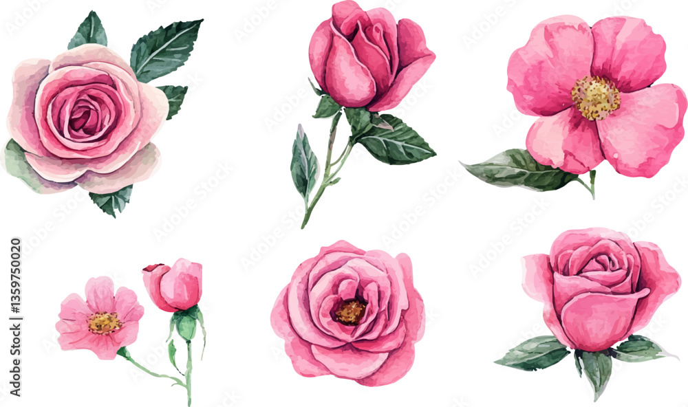Fototapeta premium set of pink roses vector