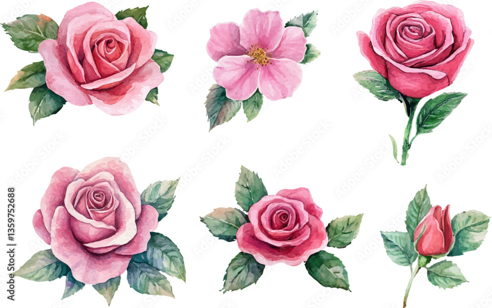 Fototapeta premium set of roses vector illustration