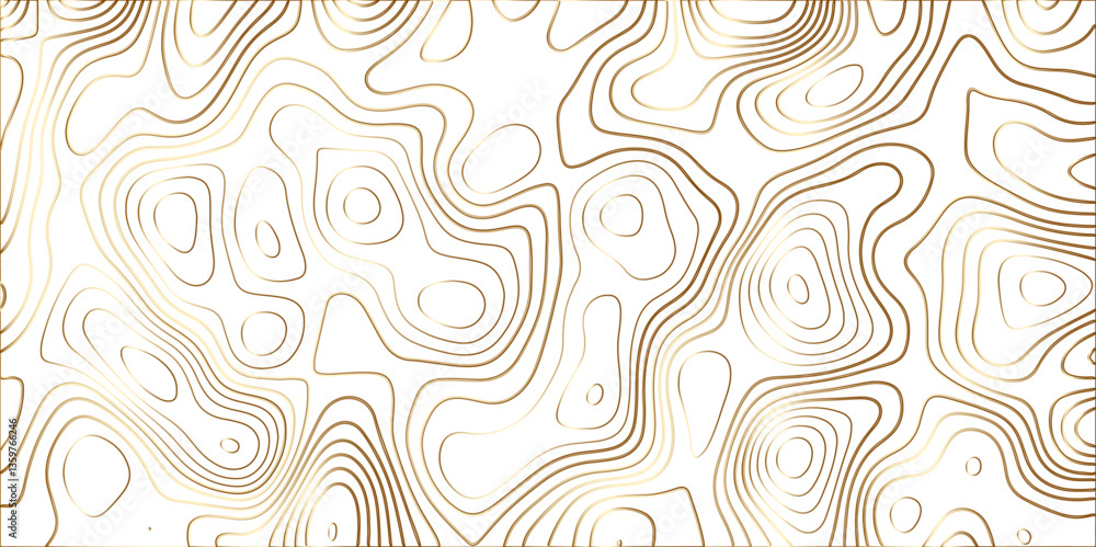 Topographic canyon geometric map relief texture with curved layers and shadow. abstract White background with a beautiful pattern, Topographic contour lines vector map seamless pattern vector. Topographic canyon geometric map relief texture with curved layers and shadow. abstract White background with a beautiful pattern, Topographic contour lines vector map seamless pattern vector.