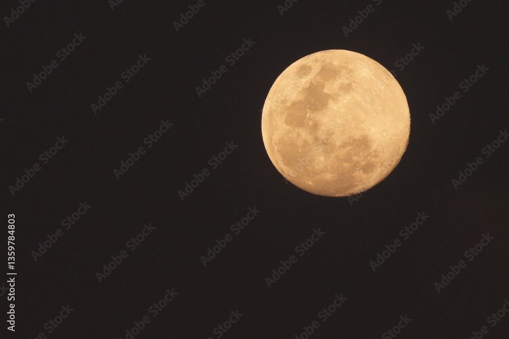 Obraz premium The moon is big and round with visible surface.