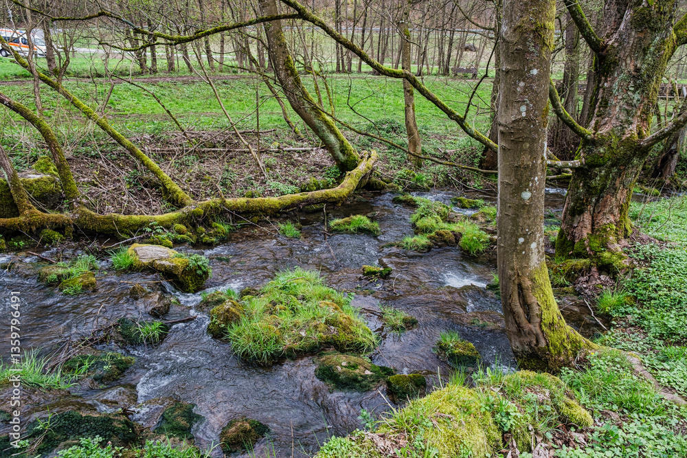 Obraz premium A small stream in a wild landscape in Franconian Switzerland's Trubach Valley