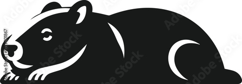 vector illustration of a wombat