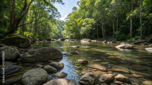 Wallpaper Mural Tropical crystal water river with rocks in the middle of jungle Torontodigital.ca