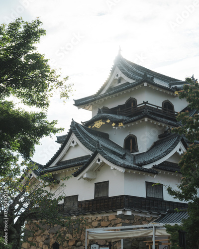 Wallpaper Mural japanese castle
Hikone Castle,Hikone, Shiga-ken, Japan Torontodigital.ca