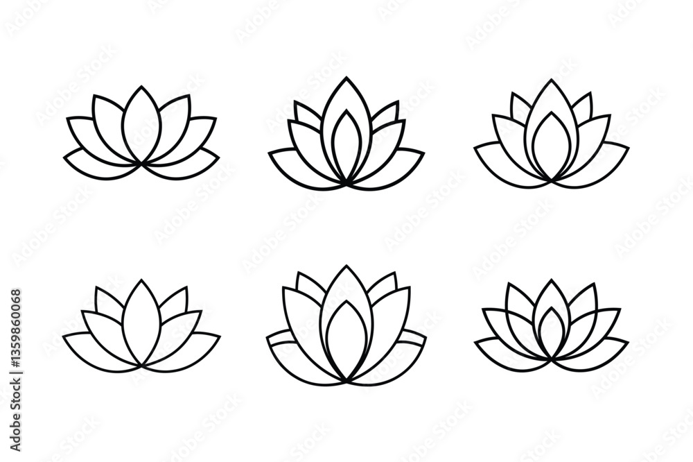 Fototapeta premium vector illustration of lotus flower