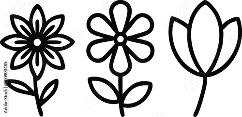 Outlined Flowers on stems Icon Set, Black and White Flowers, Simple Lineart Style Design
