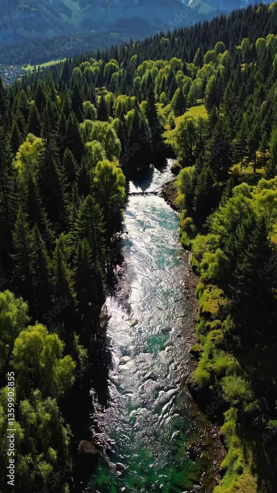 Serene river flowing through green forest under sunlight in mountain landscape Serene river flowing through green forest under sunlight in mountain landscape
