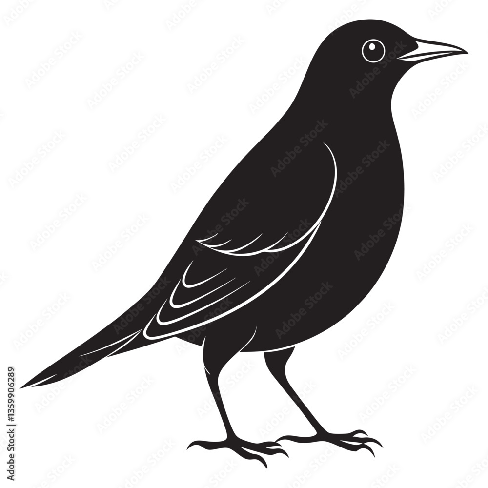 Fototapeta premium European starling black silhouette vector illustration on a white background 