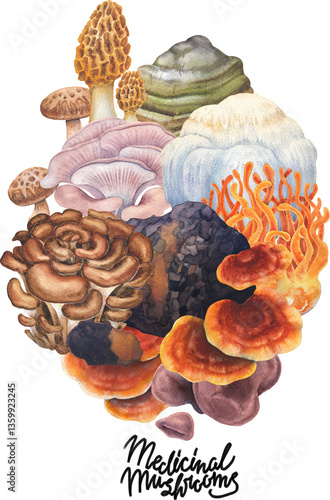 Realistic watercolor medicinal mushrooms isolated on a white background