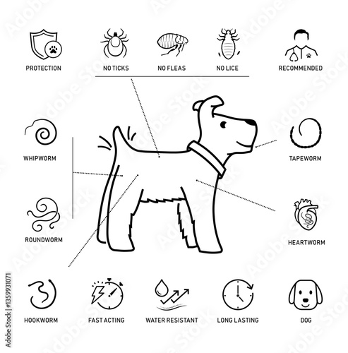 Set of vector icons focuses on dogs parasites and worms. The icons are designed to be versatile, suitable for use in informational materials, veterinary goods, pet care, apps, and more. EPS10.
