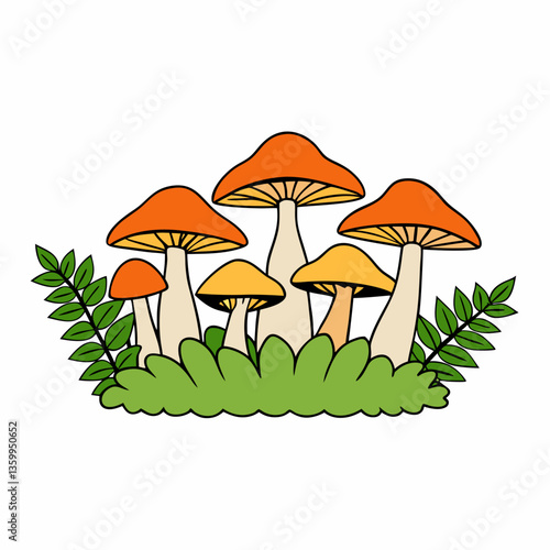 mushrooms in the forest