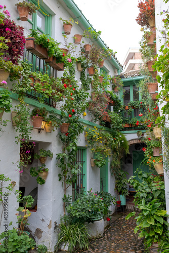 Colourful flower pots decorate the walls of courtyards and patio gardens of Cordoba, Andalusia, southern Spain. 