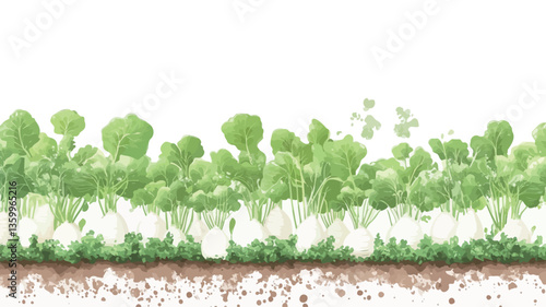 A close-up shot depicts a dense row of microgreens against a white background. The microgreens are various shades of light to medium green, showcasing small, delicate leaves. A thin band of light