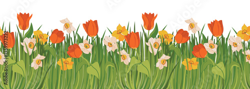 Vector seamless pattern with spring flowers and green grass. Red tulips, yellow and white daffodils on the meadow. Banner with plants at the bottom and space for text.