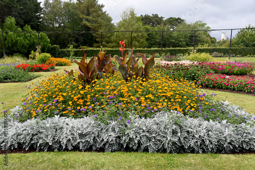 Photography Flowers blossom in Botanic Gardens (Glasnevin) in Dublin , Ireland