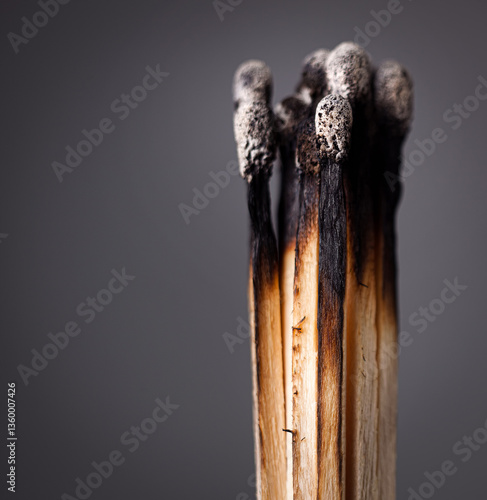 Schilderij op canvas burned matches
