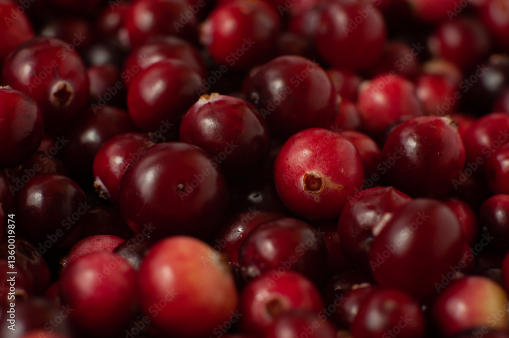Cranberry. Small forest red berry. A scattering of cranberries. Vitamins from nature Cranberry. Small forest red berry. A scattering of cranberries. Vitamins from nature