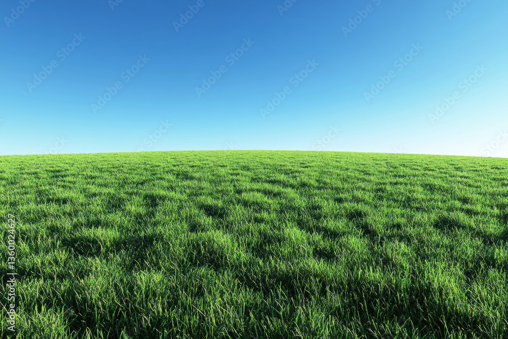 Obraz premium Green field under clear blue sky, a lone oak tree in the center, casting a long shadow. Serene and vast landscape.