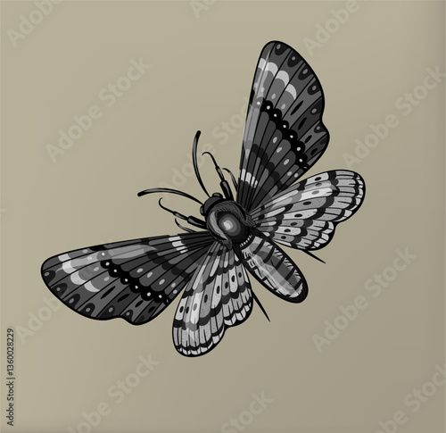 Вutterflies