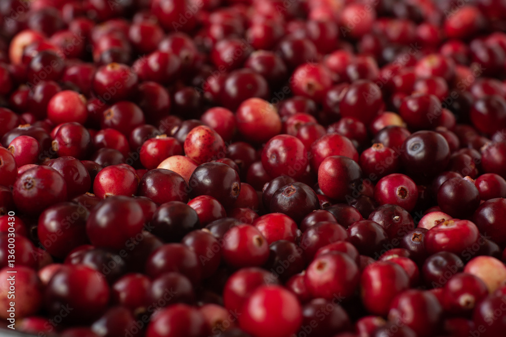Cranberry. Small forest red berry. A scattering of cranberries. Vitamins from nature Cranberry. Small forest red berry. A scattering of cranberries. Vitamins from nature