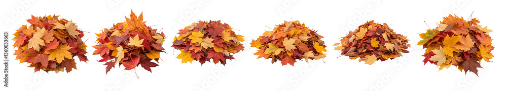 set of colorful autumn leaves with vibrant shades of red, orange, and yellow, isolated on white transparent background, PNG cutout for design use set of colorful autumn leaves with vibrant shades of red, orange, and yellow, isolated on white transparent background, PNG cutout for design use