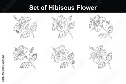 Minimalist Hibiscus Flower Line Drawing
