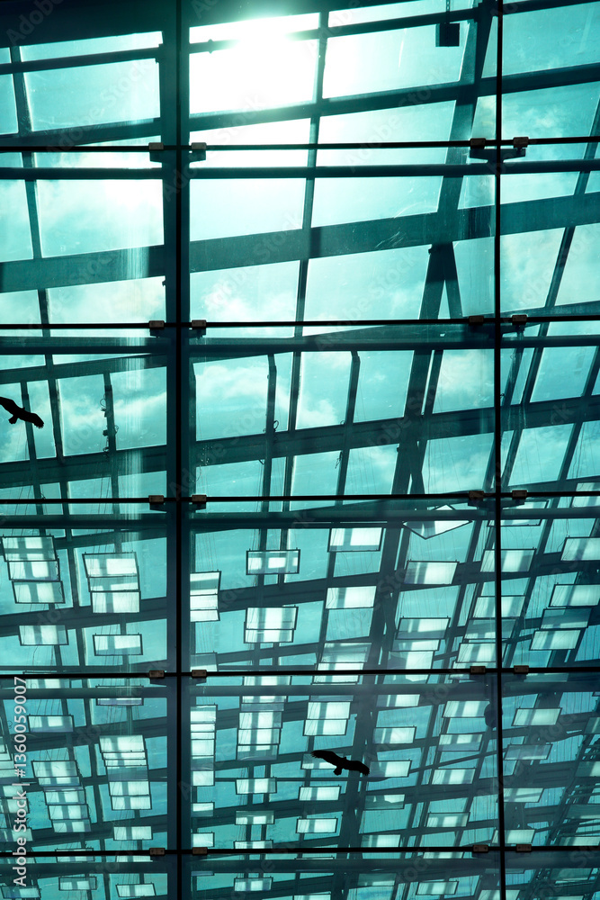 Birds flying over modern glass building ceiling with geometric pattern Birds flying over modern glass building ceiling with geometric pattern