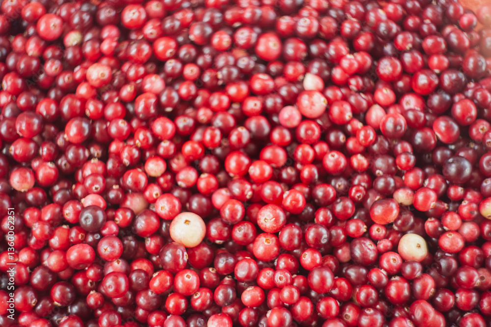Cranberry. Small forest red berry. A scattering of cranberries. Vitamins from nature Cranberry. Small forest red berry. A scattering of cranberries. Vitamins from nature