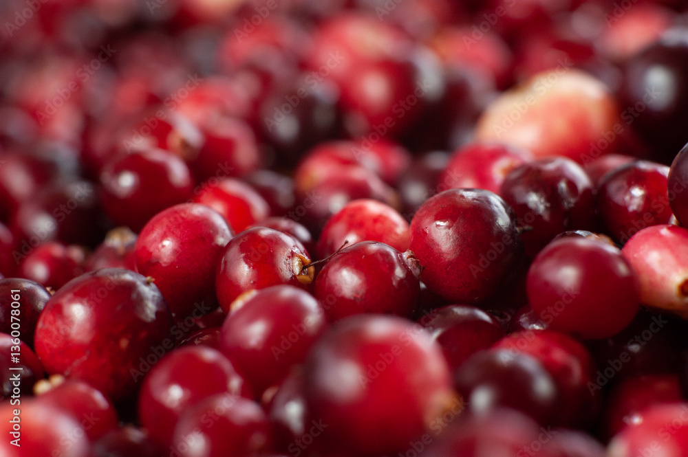 Cranberry. Small forest red berry. A scattering of cranberries. Vitamins from nature Cranberry. Small forest red berry. A scattering of cranberries. Vitamins from nature