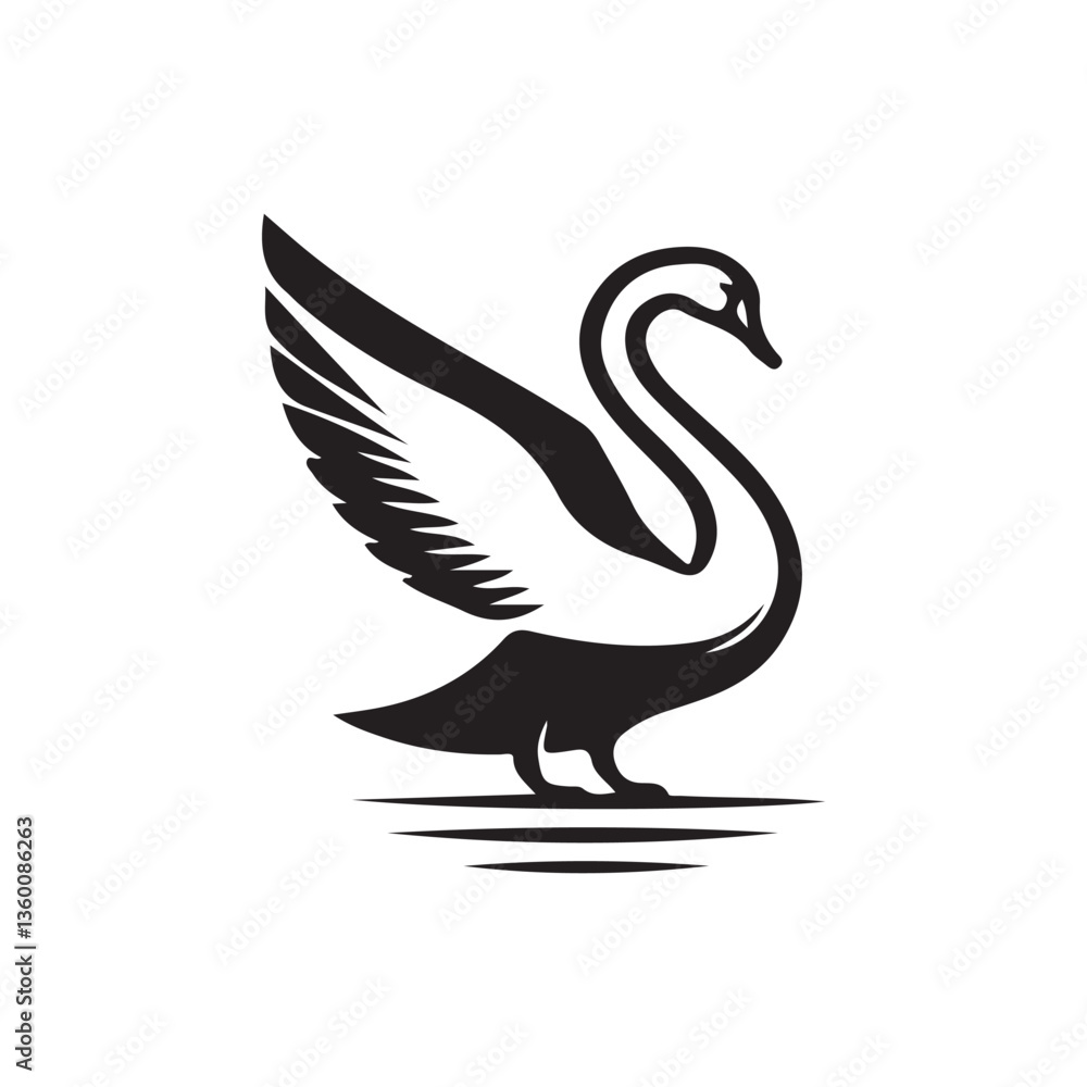 Fototapeta premium swan on the water