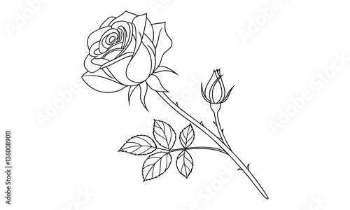 Wallpaper Mural Silhouette Rose, Black Rose, Liner Rose, Rose Line Art, Rose Outline, Minimalist Rose, Floral Illustration, Elegant Rose Drawing, Black Line Flower, Botanical Sketch, Rose Silhouette Torontodigital.ca