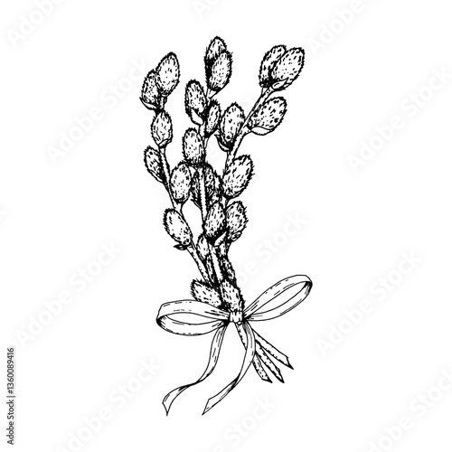Hand drawn black and white illustration of a bunch of pussy willow branches tied with a ribbon. Perfect for Easter, spring greeting cards, seasonal decor, nature themes and botanical prints.