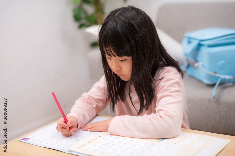 宿題に取り組む子どもの学習風景 宿題に取り組む子どもの学習風景