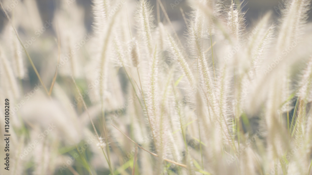 Serene Meadow of Swaying Wild Grass and Flowers Serene Meadow of Swaying Wild Grass and Flowers