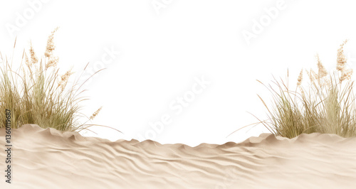 Fototapeta Naklejka Na Ścianę i Meble -  PNG Sandy beach landscape scenery nature.