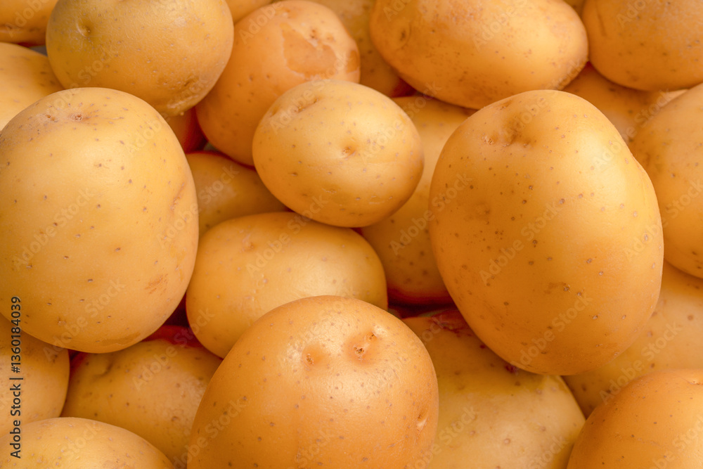 A group of fresh tasty potato as background. A group of fresh tasty potato as background.