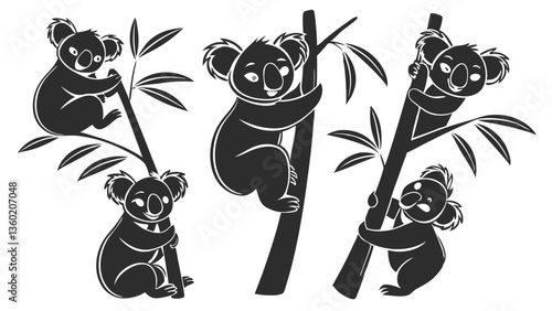 Photography Set of koala