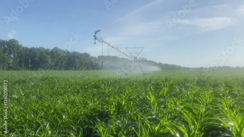 agriculture irrigation of farm field. automatic artificial irrigation of the field for good harvest. smart agriculture eco farming concept artificial intelligence. agricultural irrigation land farm