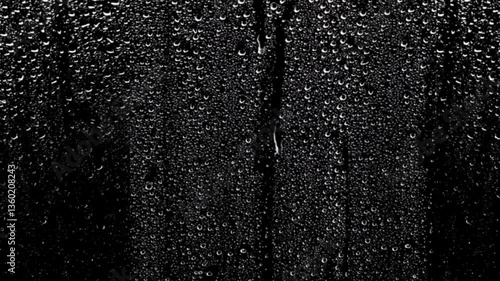 rain drops on the window