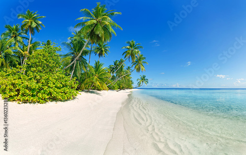 Fototapeta Naklejka Na Ścianę i Meble -  Palm trees and clean, transparent turquoise water on the Beautiful maldives tropical island. Idyllic tropical island in summer.