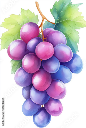 Bunch of fresh grapes hanging on the vine with green leaves. Ripe purple and pink watercolour grapes hanging on the vine, creating a vibrant and juicy image