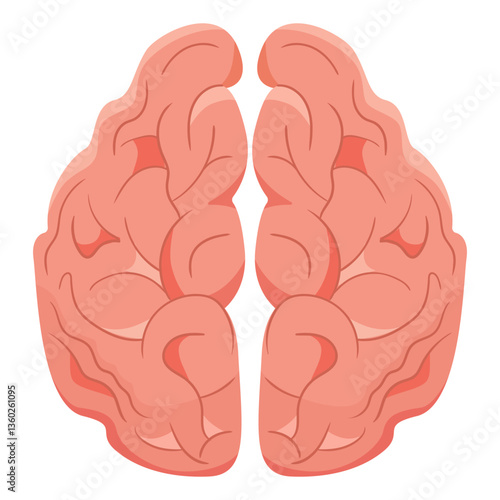 Brain set icon. Symmetrical pink brain illustration symbolizes intelligence, neuroscience, cognition, mental focus, human mind, analytical thinking.