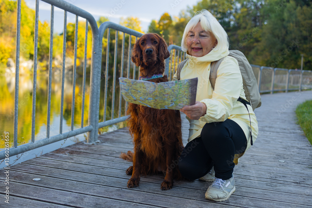 Happy senior 60s woman holds travel map searching location, with her best friend irish setter dog wear casual clothes in the autumn forest. Leisure, road trip, travel and people concept.